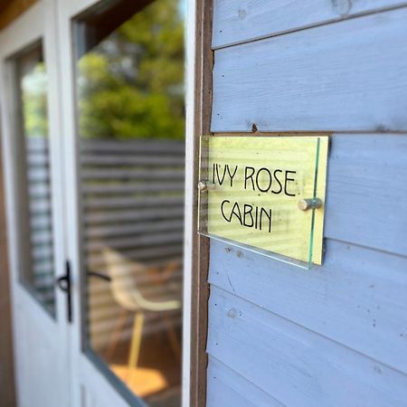 Ivy Rose Cabin No Hot Tub 뷰드 외부 사진